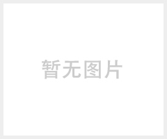 紧急泄压阀 （弹簧加载）